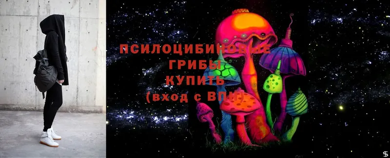 МЕГА вход  Белоозёрский  Псилоцибиновые грибы Cubensis 